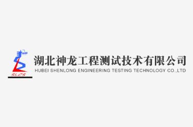 神龙工程测试打造全新高端官网平台