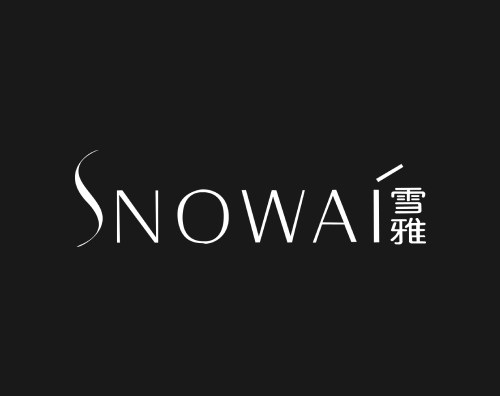 雪雅化妆品打造全新高端官网